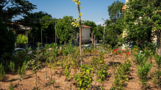 Θεσσαλονίκη: Αυτό είναι το πρώτο Urban Micro Forest στη Βόρεια Ελλάδα