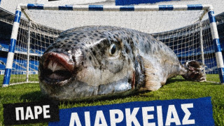 Ηρακλής: Η καμπάνια των διαρκείας είχε... λαγοκέφαλο
